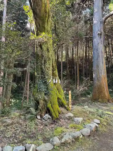 白山神社(神奈川県)