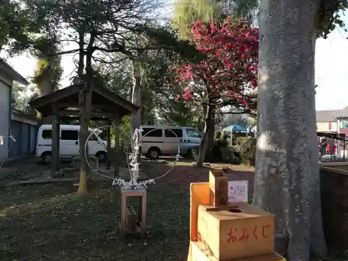 香取神社（旭町香取神社・大鳥神社）のおみくじ