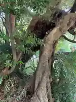 光明寺(千葉県)