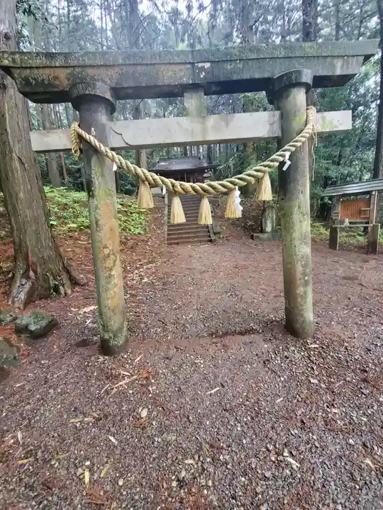 玉藻稲荷神社の鳥居