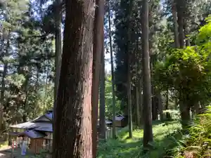 大宮温泉神社(栃木県)(2022年05月30日(月) 08時17分29秒投稿)