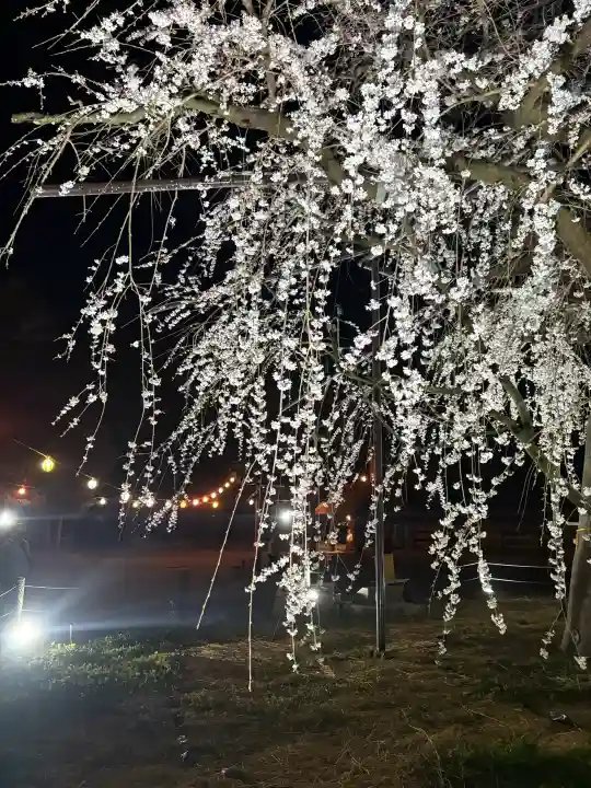 八幡社の{uncategorized: "未分類", other: "その他", undefined: "問題あり", building: "その他建物", grave: "お墓", sacred_gate: "鳥居", guardian: "狛犬", statue: "像", buddha: "仏像", history: "歴史", nature: "自然", garden: "庭園", animal: "動物", pagoda: "塔", temizu: "手水舎", mountain_gate: "山門・神門", sanctuary: "本殿・本堂", subordinate: "末社・摂社", art: "芸術", scenery: "景色", jizo: "地蔵", ema: "絵馬", goshuin: "御朱印", omikuji: "おみくじ", items: "授与品その他", amulet: "お守り", goshuincho: "御朱印帳", eats: "食事", festival: "お祭り", votive_dance: "神楽", shichigosan: "七五三参", wedding: "結婚式", experience: "体験その他", initially: "初詣", around: "周辺", anti_infection: "感染症対策"}