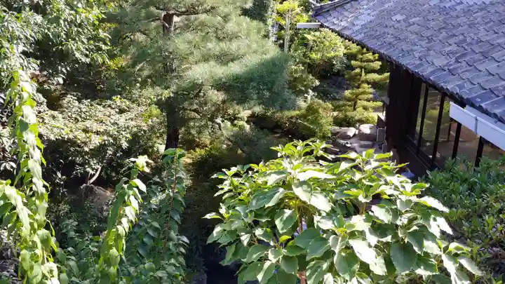 金臺寺(金台寺)の自然