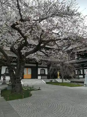 長谷寺のその他建物