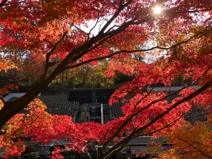 鉾立山天王院の自然