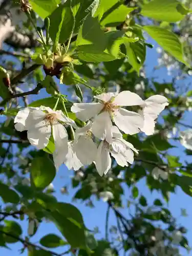 白雲神社(京都府)
