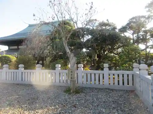 成田山新勝寺(千葉県)