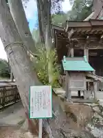 國津神社の{uncategorized: "未分類", other: "その他", undefined: "問題あり", building: "その他建物", grave: "お墓", sacred_gate: "鳥居", guardian: "狛犬", statue: "像", buddha: "仏像", history: "歴史", nature: "自然", garden: "庭園", animal: "動物", pagoda: "塔", temizu: "手水舎", mountain_gate: "山門・神門", sanctuary: "本殿・本堂", subordinate: "末社・摂社", art: "芸術", scenery: "景色", jizo: "地蔵", ema: "絵馬", goshuin: "御朱印", omikuji: "おみくじ", items: "授与品その他", amulet: "お守り", goshuincho: "御朱印帳", eats: "食事", festival: "お祭り", votive_dance: "神楽", shichigosan: "七五三参", wedding: "結婚式", experience: "体験その他", initially: "初詣", around: "周辺", anti_infection: "感染症対策"}