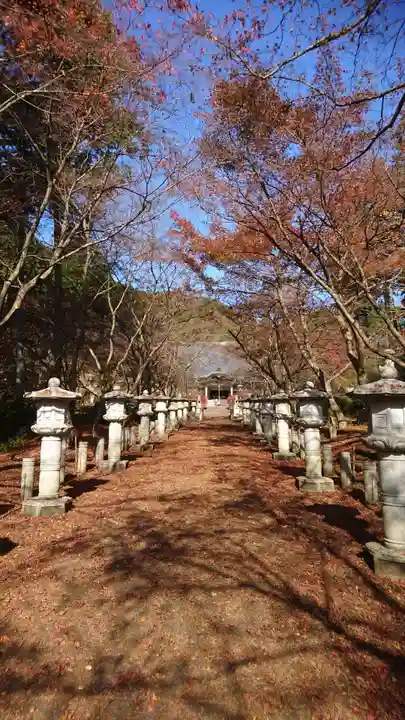 高山寺の自然