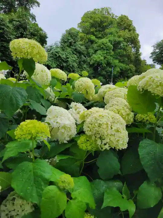 性海寺(愛知県)