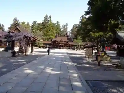 多賀大社のその他建物