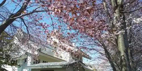 北海道護國神社の自然