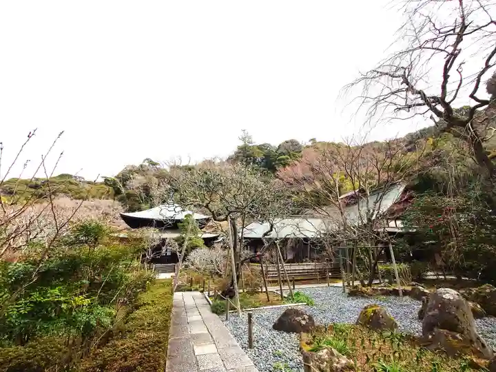 瑞泉寺(神奈川県)