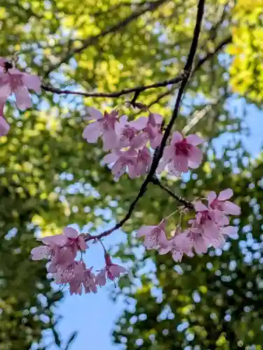 白幡八幡神社(神奈川県)