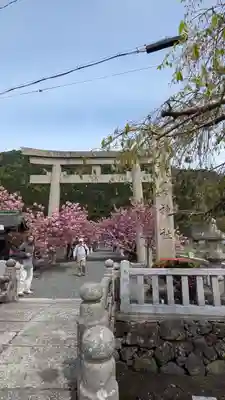 伊香具神社(滋賀県)