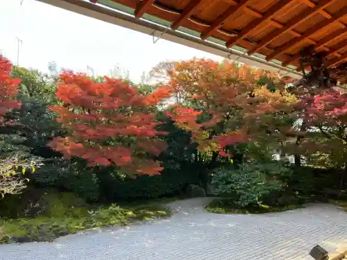 圓徳院(京都府)