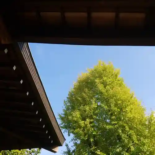 亀戸 香取神社の自然