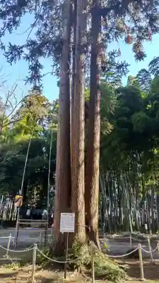 大神神社(栃木県)