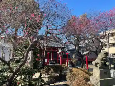 北野天神（仲六郷北野神社）の{uncategorized: "未分類", other: "その他", undefined: "問題あり", building: "その他建物", grave: "お墓", sacred_gate: "鳥居", guardian: "狛犬", statue: "像", buddha: "仏像", history: "歴史", nature: "自然", garden: "庭園", animal: "動物", pagoda: "塔", temizu: "手水舎", mountain_gate: "山門・神門", sanctuary: "本殿・本堂", subordinate: "末社・摂社", art: "芸術", scenery: "景色", jizo: "地蔵", ema: "絵馬", goshuin: "御朱印", omikuji: "おみくじ", items: "授与品その他", amulet: "お守り", goshuincho: "御朱印帳", eats: "食事", festival: "お祭り", votive_dance: "神楽", shichigosan: "七五三参", wedding: "結婚式", experience: "体験その他", initially: "初詣", around: "周辺", anti_infection: "感染症対策"}