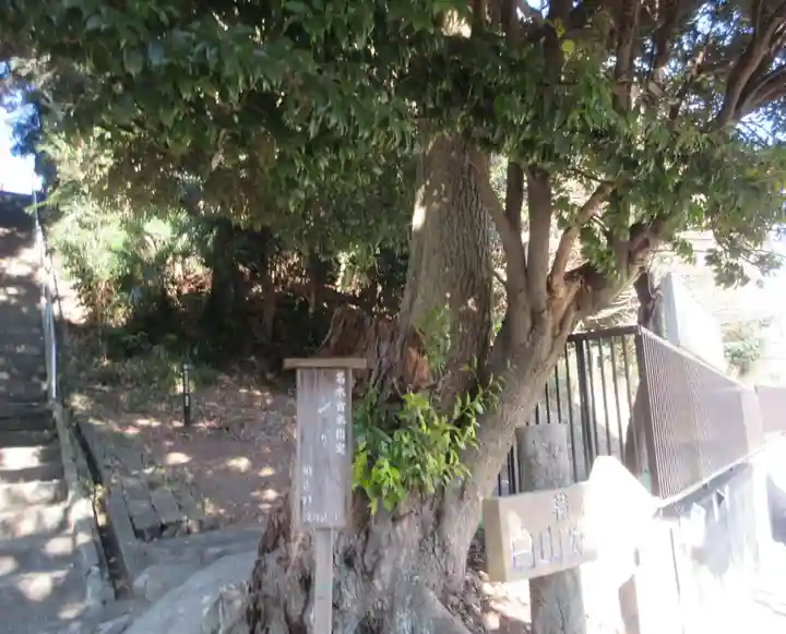 別所白山神社(神奈川県)