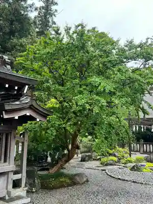 白鷺神社(栃木県)