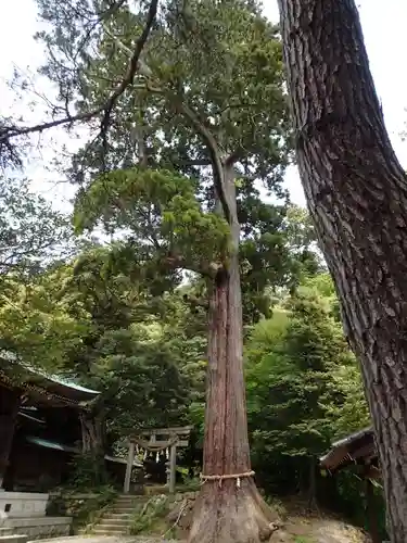 菅生石部神社の庭園