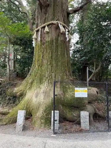 高尾山薬王院(東京都)
