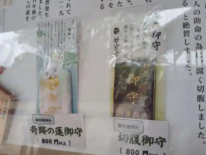 妙玄寺(岡山県)