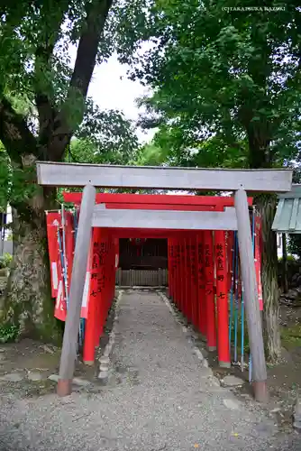 世木神社の鳥居