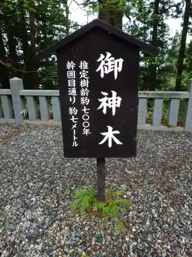 戸隠神社中社(長野県)