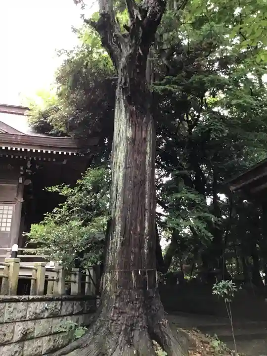 艫神社の自然