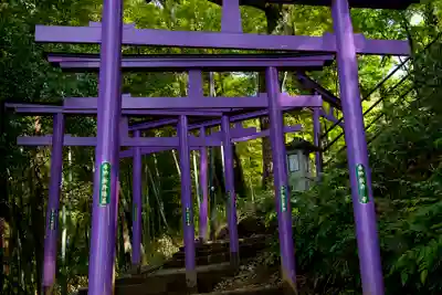 足利織姫神社の鳥居