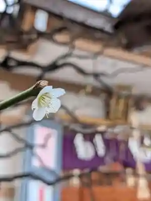 穏田神社(東京都)