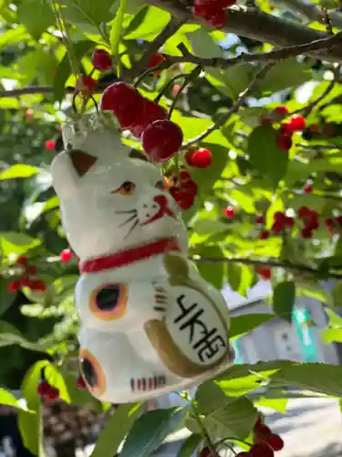 今戸神社(東京都)