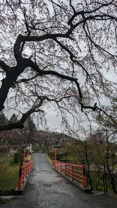 正法寺(京都府)