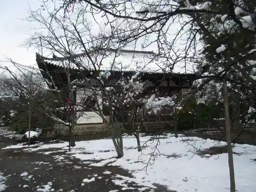 廣隆寺(京都府)