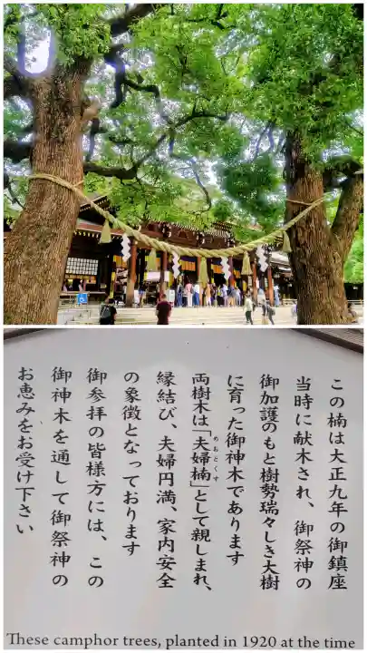 明治神宮(東京都)