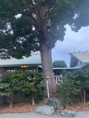 伊勢原大神宮(神奈川県)