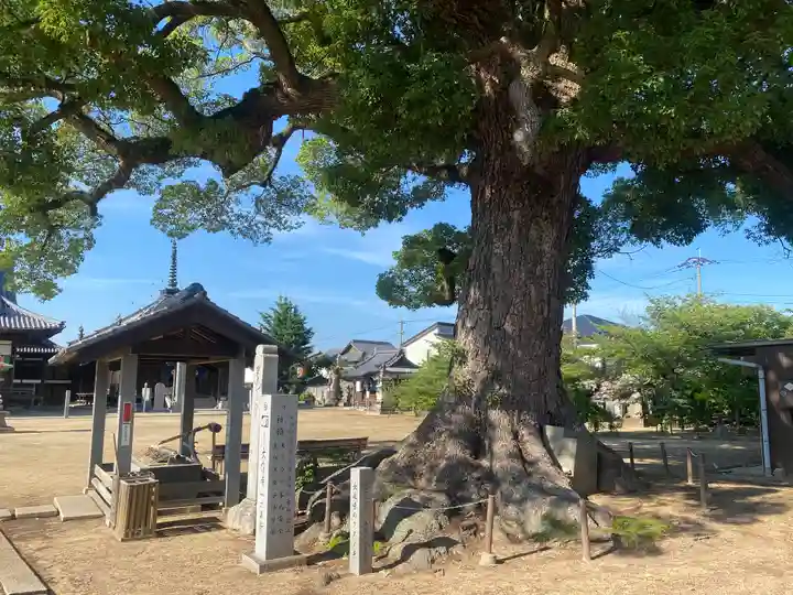 長尾寺(香川県)