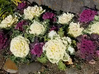 慈眼院（清光寺）の自然