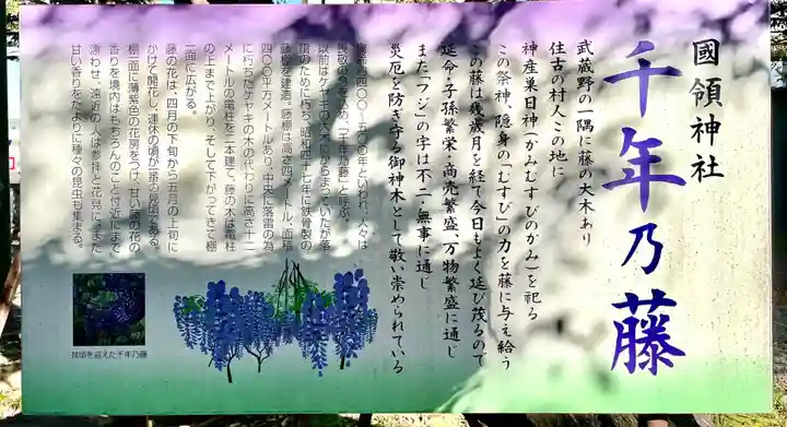 國領神社の歴史