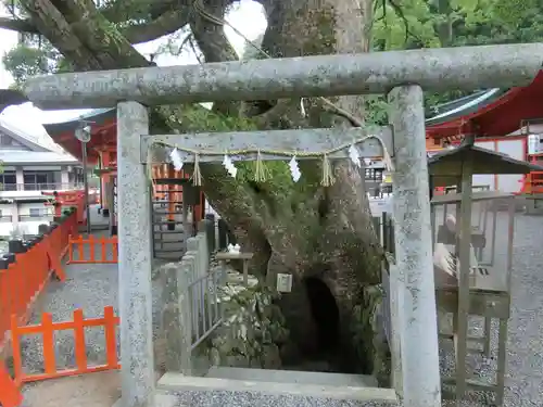 熊野那智大社の鳥居