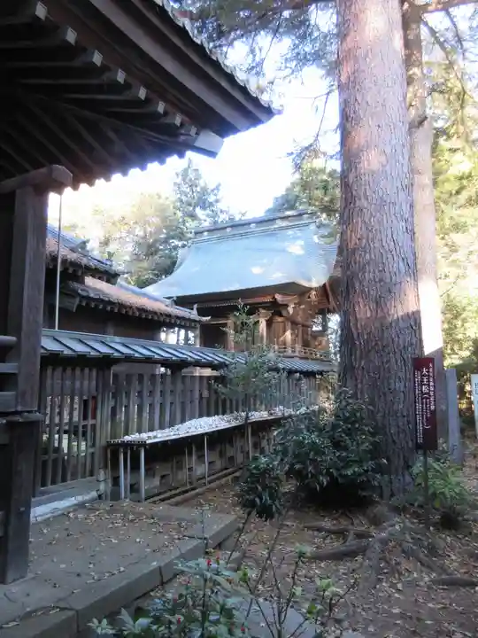 大宝八幡宮の本殿・本堂