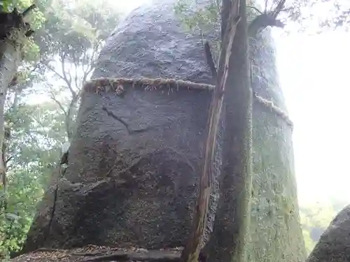 岩上神社の自然