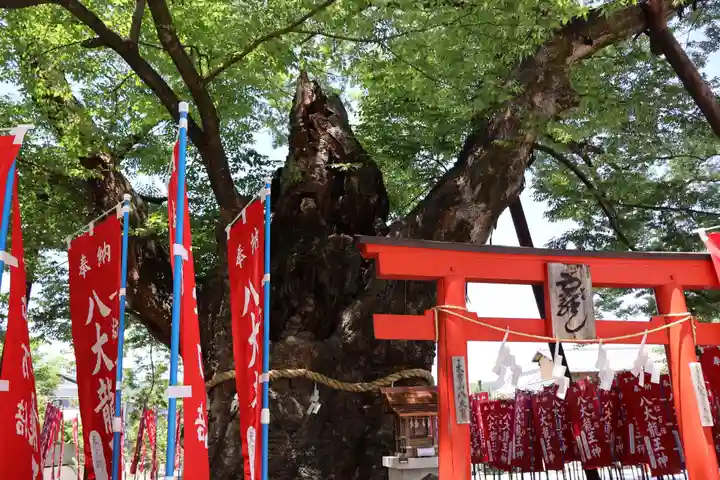 秩父今宮神社(埼玉県)