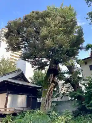 大森山王日枝神社(東京都)
