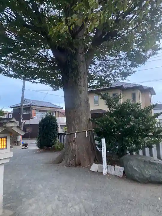 伊勢原大神宮(神奈川県)