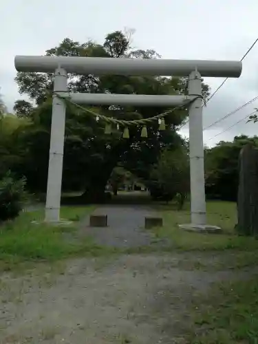 金村別雷神社の鳥居