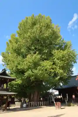 飛騨国分寺(岐阜県)