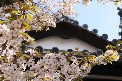 醍醐寺の景色